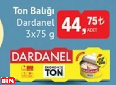 DARDANEL TON BALIĞI